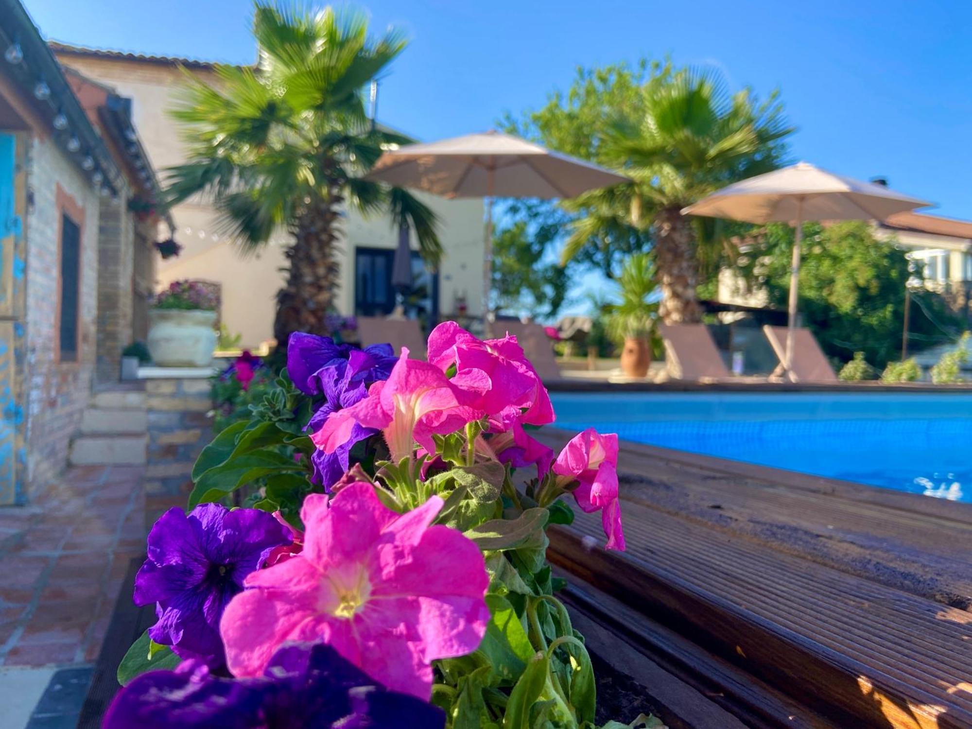 Bed And Adventure Tramontana Resort - Casetta & Wellness Castilenti Extérieur photo